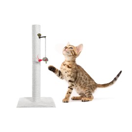 KRATZBAUMSPIELZEUG "KITTY FIX"