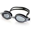 Arena Goggles Standard Lenses AGL-9500GK AS5SGG48UZ / 아레나 수경 일반
