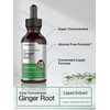 Horbäach Ginger Root Extract Liquid | 2 oz | Alcohol