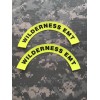 Pair Of 1st Responder/ EMS/ Fire Helmet Crescent Decal: Wilderness EMT Lime Grn