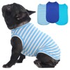3 Pack Blue Striped and Solid Dog T Shirt for