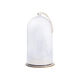 19cm Tall Plastic Bell Jar Cloche with Jute Cord for Crafts