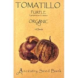Organic TOMATILLO ❁ Purple (Physalis ixocarpa) ❁ 10 Seeds Heirloom - Non GMO