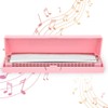 Professional Mouthorgan Harmonica Diatonic Harp C Key Stainless Steel Cover