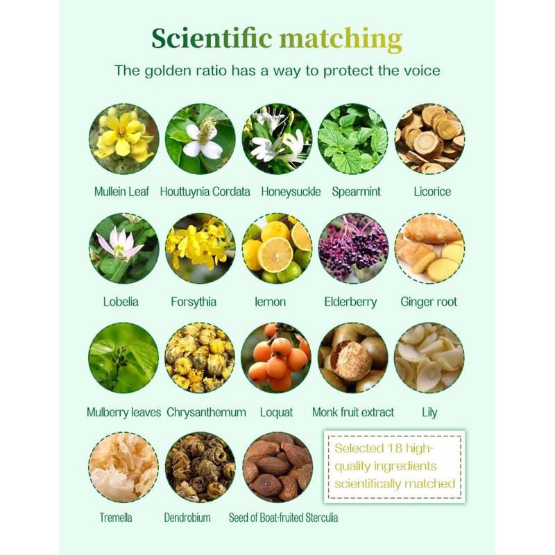 Mullein Tea Bags for Cleanse, Respiratory Support and Mucous Membranes,