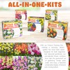 All-in-One Flower Bulb Garden Kit - Cotton Candy Punch Mix