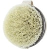 EcoTools Dry Body Brush