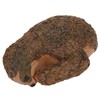 Sloth Sculpture Hand Painted Finish Resin Vivid 22x10x14.5cm Outdoor Sloth