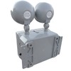 Industrial Emergency Light