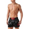 Venum, Classic Muay Thai Shorts, Men's, L, Black/Red