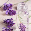 OPO Lavender Water Hydrosol - Pure Steam Distilled Natural Non
