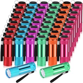 VIHOSE 48 Pcs Mini Flashlights Bulk, Bright Aluminum Handheld Flash Light with Lanyard, Small LED Flashlights for Kids Night Reading Emergency Hurricane Camping Hiking Party Favors(Multicolor)