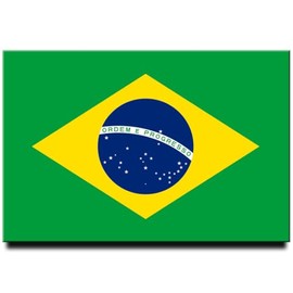 Brazil Flag Fridge Magnet Sao Paolo Travel Souvenir Copacabana Latin America Rio de Janeiro