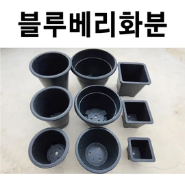 5 blueberry flower pots, rubber flower pots, large flower pots, 5 of the blueberry flower pots / 블루베리화분 5개 화분 고무화분 대형화분 큰화분, 블루베리화분 중 5개