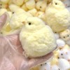 1pcs Handmade Taba Squishy Chick Ultra Soft Squishy Fidget Toys