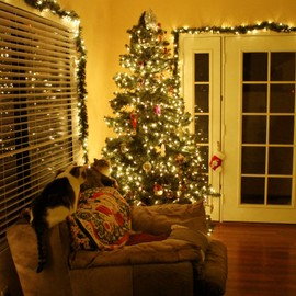 Cluster Lights Christmas 2000 LED Fairy Lights with Remote 147Ft Christmas Tree Lights Waterproof Fairy Wreath Lights Firecracker Twinkle Lights Plug in Timer String Lights for Bedroom Garland Party