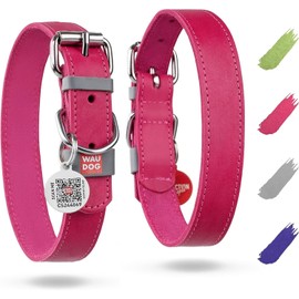 WAUDOG Long Lasting Leather Dog Collar for Large Dogs, Medium & Small Dogs - Adjustable Classic Puppy Collars for Large Breed Dogs - Boy & Girl Dog Collars with Durable Buckle, D-Ring & QR Dog Tag