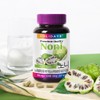 Holidays Noni 120 Tablets 1 Bottle (4-month supply) / 홀리데이즈