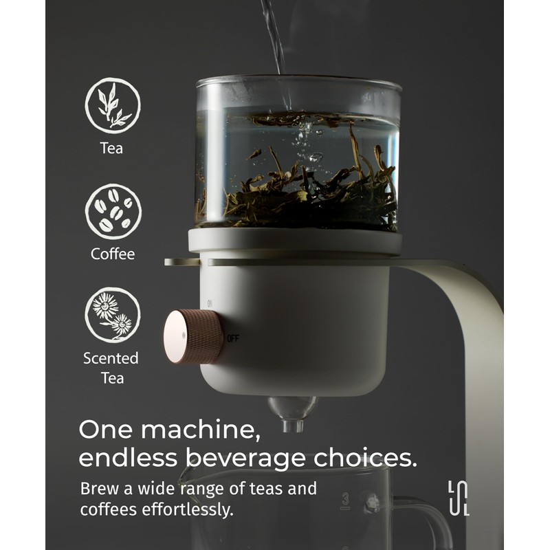 LSL LoveStyle Living Glass Tea Pot with Infusers for Loose