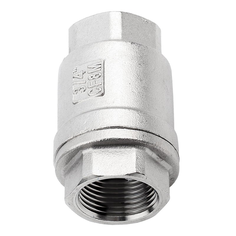 Stainless Steel Spring Check Valve Vertical WOG 1000 DN20 3/4