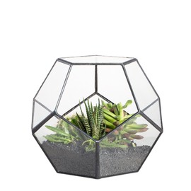 NCYP Small Open Terrarium Planter - 6.89" x 6.89" x 5.9" Pentagon Geometric Glass Container Pot for Succulents, Air Plants - Home Garden Tabletop Miniature Decor, Black (No Plants)