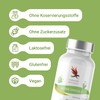 Carnium Botanicals Algae Omega 3 - Omega 3 Vegan Algae