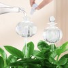 Soilagua 10 oz Large Top Fill Cactus Plant Self Watering