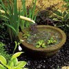 Takasho PTM-1000 Garden Pump, Mermaid 1000 (Pump), Black, Outdoor, Torchiere