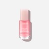 Laneige [Head office direct management] New Laneige Bouncy & Firm