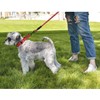KOMUNJ Reflective Dog Collar and Leash Set Adjustable Collar Durable