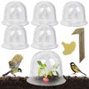 Plant Humidity Dome | Cloche Seedling Cover | Multifunctional Propagation