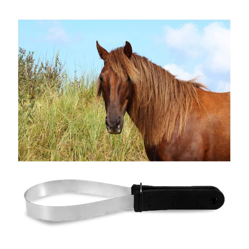 Stainless Steel Animal Equine Sweat Scraper Shedding Blade,Double-Sided Shedding Blade,Horse