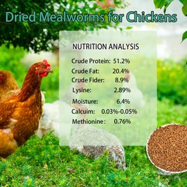 KAYHEN Dried Mealworms for Chickens 5LB Pure Natural Non-GMO High Protein Feed Meal Worms for Laying Hens Wild Birds