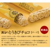 Hori Hokkaido Limited Edition Hori Corn Chocolate 10pcs