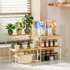 Ekisemio Kitchen Cabinet Organizer, Bamboo Spice Rack Organizer for Cabinet,
