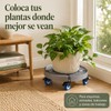 Base para Maceta con Ruedas Soporte para Plantas Rodante Ajustable