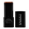 Chacott Stick Foundation, Oil-based Foundation, Stick Type, Compatible with High