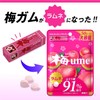 OSK LOTTE Ume Ramune Candy 1.76oz(50g) Pack Of 3 Japanese