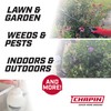 Chapin 16200 2-Gallon Made in USA Garden Pump Sprayer with