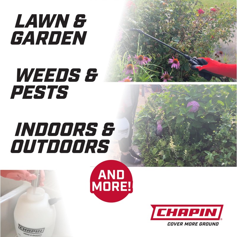Chapin 16200 2-Gallon Made in USA Garden Pump Sprayer with