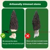 MillynLike Dried Morel Mushrooms Trimmed Stems & Large Caps (2+