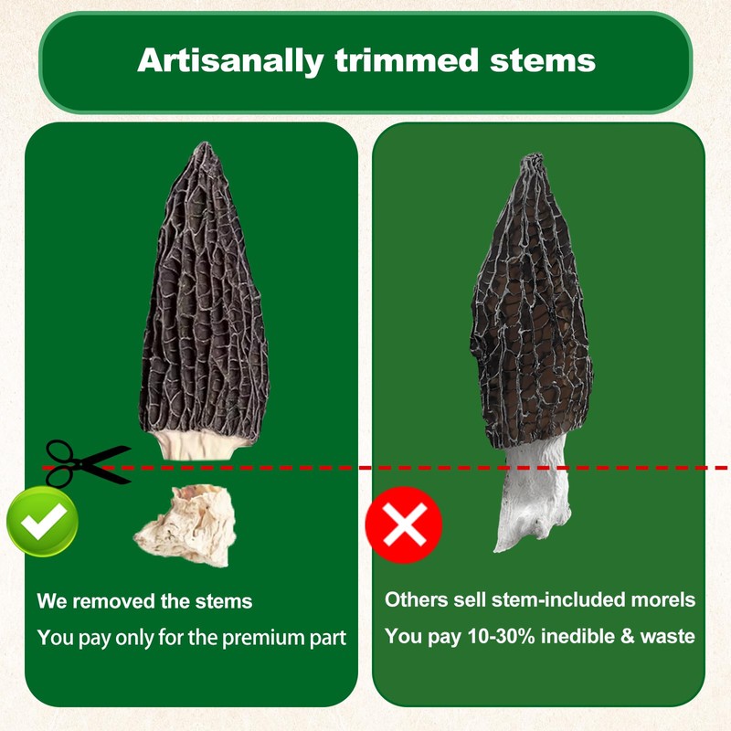 MillynLike Dried Morel Mushrooms Trimmed Stems & Large Caps (2+