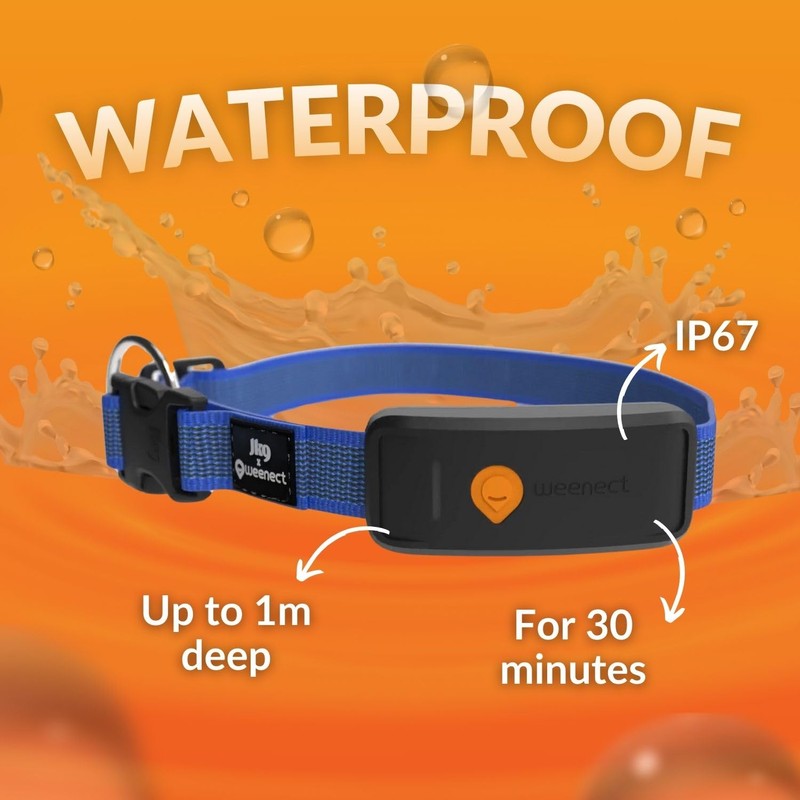 Weenect Dog XT - New GPS Collar for Dogs |
