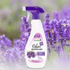 Odor Neutralizer, Lavender Chamomile, 13-oz.