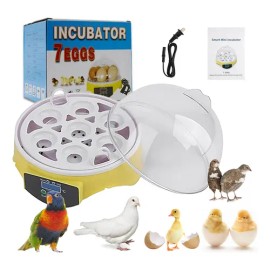 Incubadoras Huevo Para 7 Huevos - Pantalla Digital Inteligente + Incubadora De Temperatura Controlada Para Gallinas, Pollos, Patos, Codornices, Reptiles, Aves, Etc.