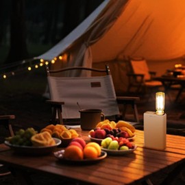 USB & Battery Powered LED Retro Car Interior Atmosphere Bulb, Touch Dimmable Indoor Decorative Neon Night Lights, Portable ambient Lamp for Bedroom, Camping, Holiday, No Pole dimming (White, 2Pack)