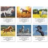 Love Horses Square Return Address Labels (6 Designs) - Set