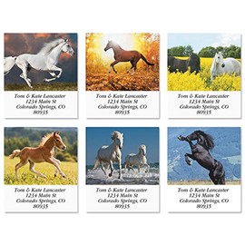Love Horses Square Return Address Labels (6 Designs) - Set of 144 1-1/8" x 2-1/4" Self-Adhesive, Flat-Sheet Label