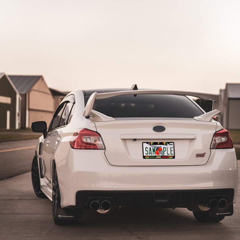 Fastasticdeals Metal Insert License Plate Frame Roots, Rock, Reggae Jamaica