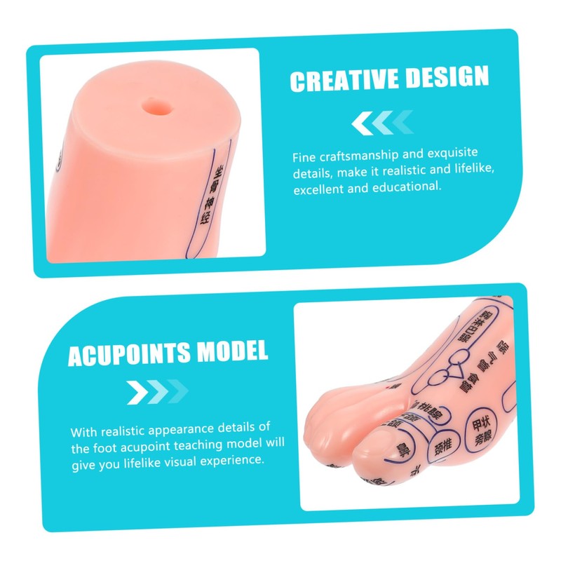 SAFIGLE Foot Massage Model for Acupoint Teaching Realistic Display Lifelike